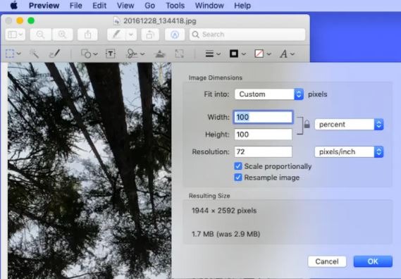 How to Use a Photo & Picture Resizer to Reduce Image Size